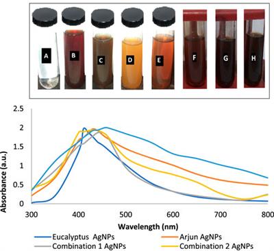 Frontiers | Green Synthesized Silver Nanoparticles: Optimization ...